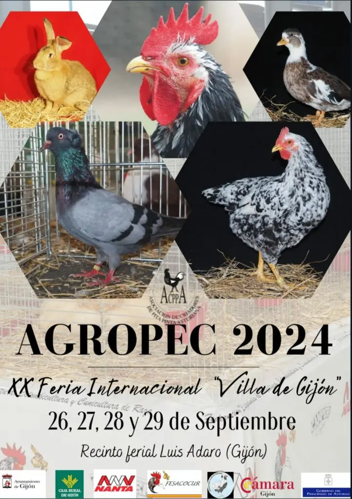 AGROPEC 2024